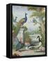 Exotic Birds and Domestic Fowl in a Picturesque Park, Early 18th Century-Jakob Bogdany-Framed Stretched Canvas