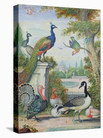 Exotic Birds and Domestic Fowl in a Picturesque Park, Early 18th Century-Jakob Bogdany-Stretched Canvas