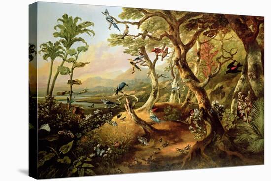 Exotic Birds and Insects Among Trees and Foliage in a Mountainous River Landscape-Philip Reinagle-Stretched Canvas