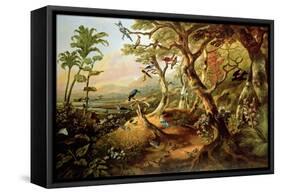 Exotic Birds and Insects Among Trees and Foliage in a Mountainous River Landscape-Philip Reinagle-Framed Stretched Canvas