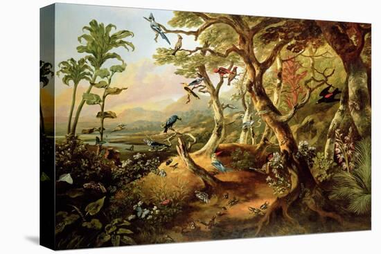 Exotic Birds and Insects Among Trees and Foliage in a Mountainous River Landscape-Philip Reinagle-Stretched Canvas