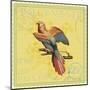 Exotic Birds I-Gwen Aspall-Mounted Giclee Print