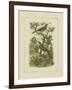 Exotic Birds I-Vision Studio-Framed Art Print