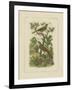 Exotic Birds I-Vision Studio-Framed Art Print