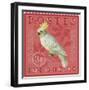 Exotic Birds III-Gwen Aspall-Framed Giclee Print