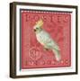 Exotic Birds III-Gwen Aspall-Framed Giclee Print