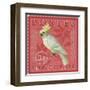 Exotic Birds III-Gwen Aspall-Framed Giclee Print