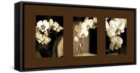 Exotic Blooms-Cinzia Ryan-Framed Stretched Canvas