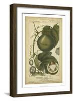 Exotic Botanica I-Turpin-Framed Art Print