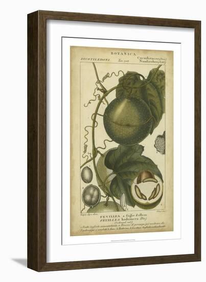 Exotic Botanica I-Turpin-Framed Art Print