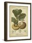 Exotic Botanica II-Turpin-Framed Art Print