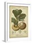 Exotic Botanica II-Turpin-Framed Art Print