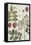 Exotic Botanique I-Vision Studio-Framed Stretched Canvas