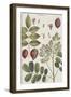 Exotic Botanique I-Vision Studio-Framed Art Print