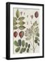 Exotic Botanique I-Vision Studio-Framed Art Print