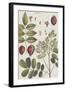 Exotic Botanique I-Vision Studio-Framed Art Print