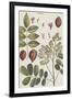 Exotic Botanique I-Vision Studio-Framed Art Print