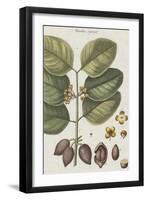Exotic Botanique II-Vision Studio-Framed Art Print