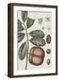 Exotic Botanique IV-Vision Studio-Framed Art Print