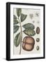 Exotic Botanique IV-Vision Studio-Framed Art Print