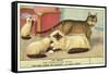 Exotic Cats-null-Framed Stretched Canvas