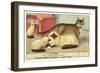 Exotic Cats-null-Framed Art Print