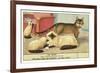 Exotic Cats-null-Framed Art Print