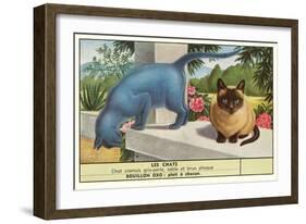 Exotic Cats-null-Framed Art Print