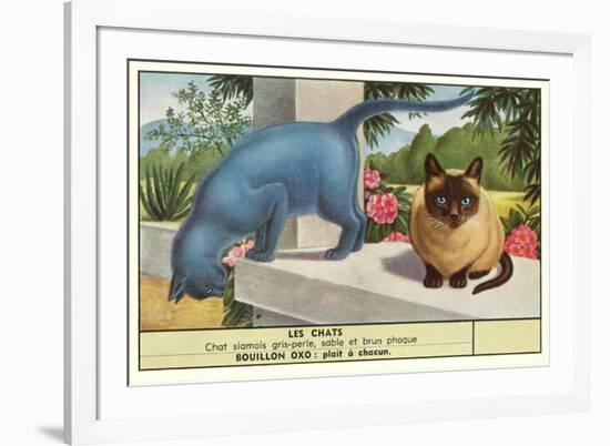 Exotic Cats-null-Framed Art Print