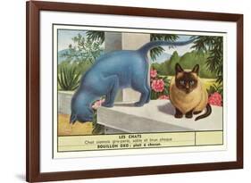 Exotic Cats-null-Framed Art Print