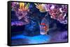 Exotic Colorful Fish among Rocks with Corals on the Bottom in Famous Aquarium of Monaco.-rglinsky-Framed Stretched Canvas