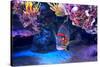 Exotic Colorful Fish among Rocks with Corals on the Bottom in Famous Aquarium of Monaco.-rglinsky-Stretched Canvas