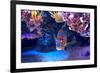 Exotic Colorful Fish among Rocks with Corals on the Bottom in Famous Aquarium of Monaco.-rglinsky-Framed Photographic Print