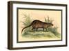 Exotic Creature-Sir William Jardine-Framed Premium Giclee Print