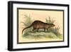 Exotic Creature-Sir William Jardine-Framed Art Print