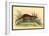Exotic Creature-Sir William Jardine-Framed Art Print