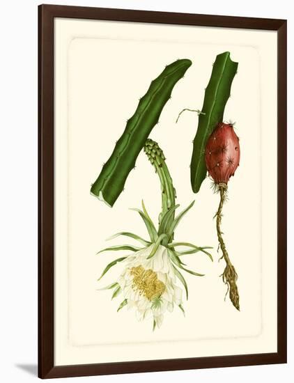 Exotic Flora II-Vision Studio-Framed Art Print