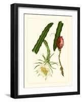 Exotic Flora II-Vision Studio-Framed Art Print