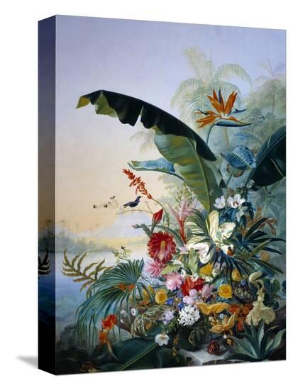 Stretched Canvas Print, , large