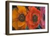 Exotic Flowers II-Patricia Pinto-Framed Art Print