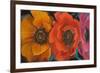 Exotic Flowers II-Patricia Pinto-Framed Art Print