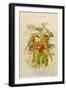 Exotic Flowers Used in Making Perfumes, Including Jasmine, Eucalyptus, Vanilla and Mimosa-null-Framed Art Print