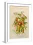 Exotic Flowers Used in Making Perfumes, Including Jasmine, Eucalyptus, Vanilla and Mimosa-null-Framed Art Print