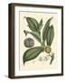 Exotic Foliage I-Vision Studio-Framed Art Print