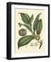 Exotic Foliage I-Vision Studio-Framed Art Print