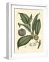 Exotic Foliage I-Vision Studio-Framed Art Print