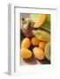 Exotic Fruit and Citrus Fruit-Foodcollection-Framed Photographic Print