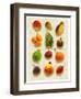 Exotic Fruit in Style of a Painting-Peter Howard Smith-Framed Photographic Print