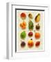 Exotic Fruit in Style of a Painting-Peter Howard Smith-Framed Photographic Print