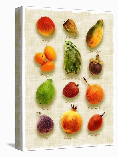 Exotic Fruit in Style of a Painting-Peter Howard Smith-Stretched Canvas